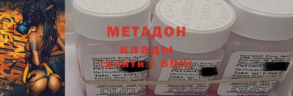 сатива Абакан