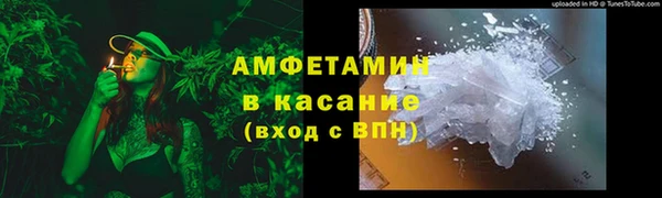 шишки Верхний Тагил