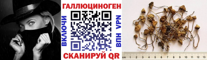 Галлюциногенные грибы Magic Shrooms Арамиль