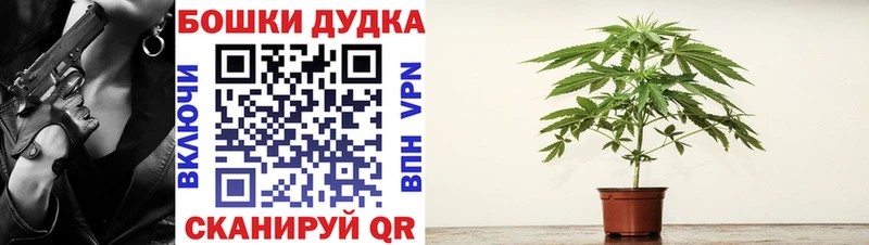 Бошки Шишки ГИДРОПОН  как найти наркотики  Арамиль 